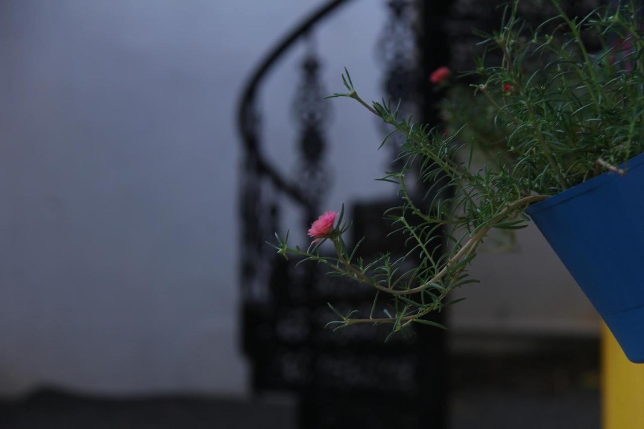 De Asian Villa Pondicherry 黎明之村 外观 照片