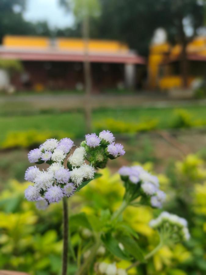 De Asian Villa Pondicherry 黎明之村 外观 照片